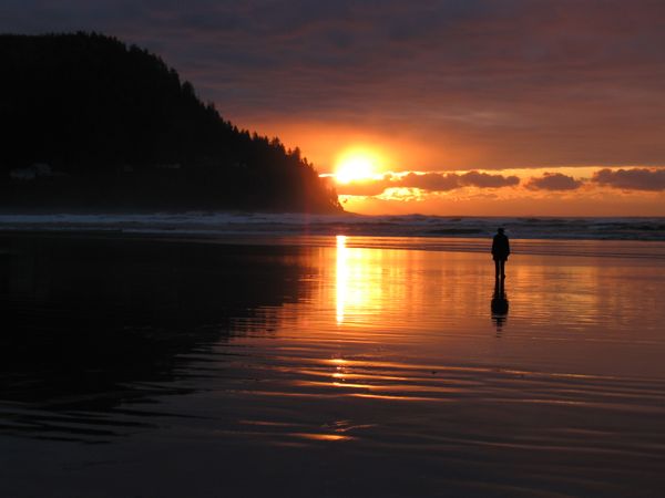 Oregon's Famous Exploding Whale