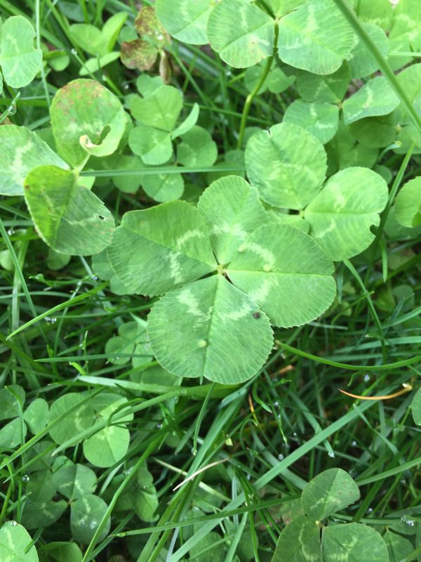 Every New Beginning...