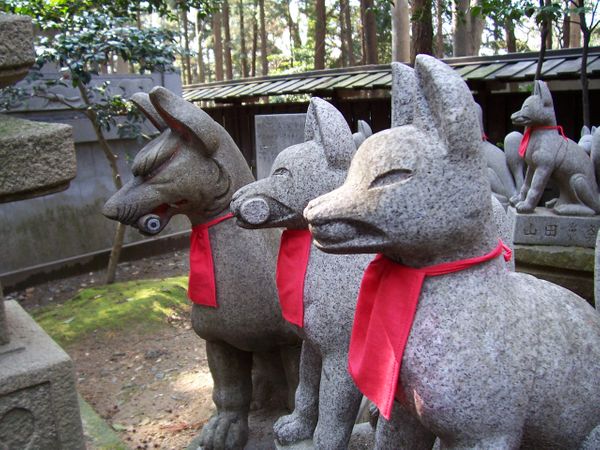 Naming the Shepherds of Nasci